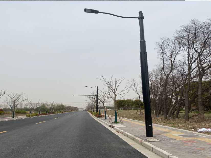 海珠区上海综合杆 太阳能路灯工程